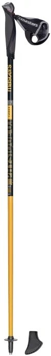Bețe mers nordic Masters Phisique 0.1 Carbon 115 cm (01N0319 115)