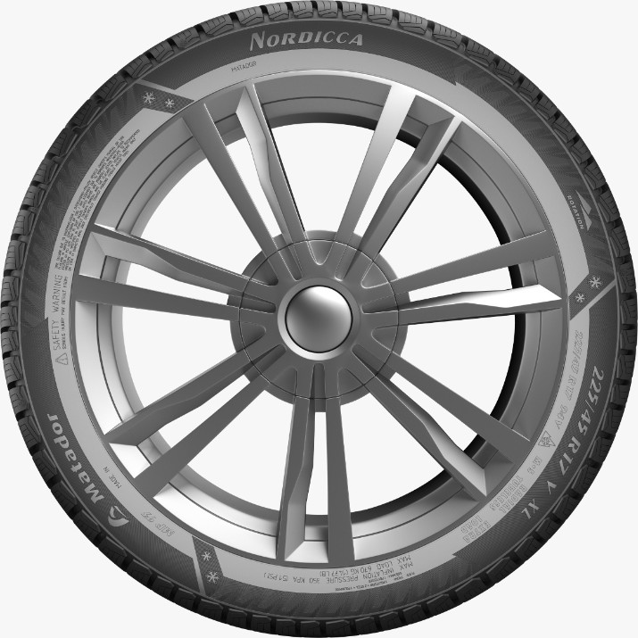Шина Matador MP93 Nordicca 225/55 R16 99H XL