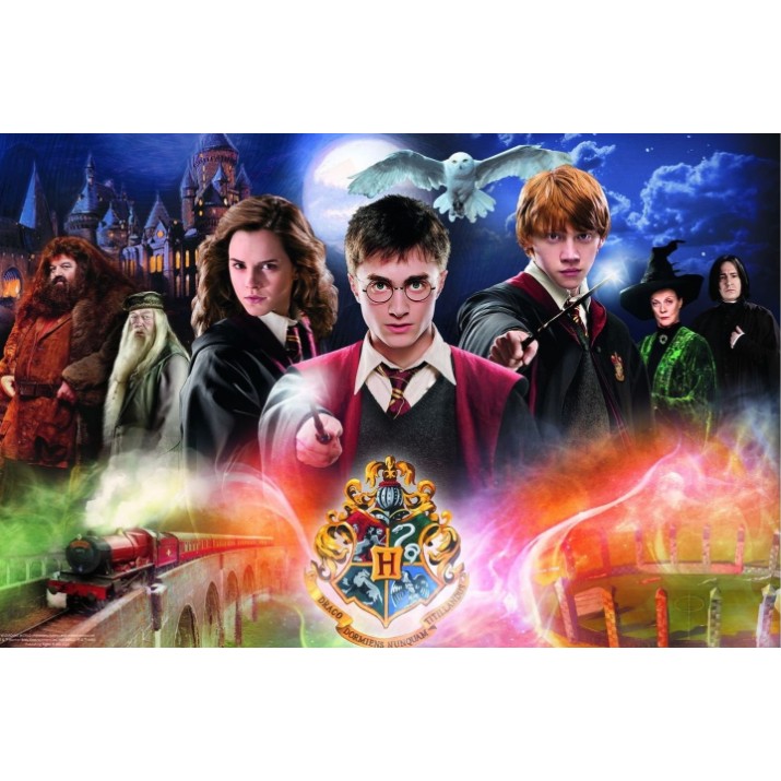 Пазл Trefl 300 The Secret Harry Potter (23001)