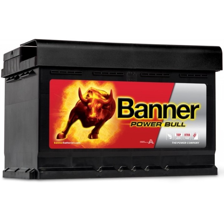 Автомобильный аккумулятор Banner Power Bull P74 12