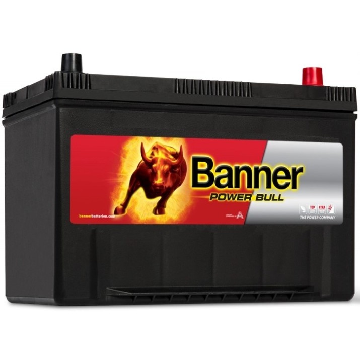 Автомобильный аккумулятор Banner Power Bull P95 04