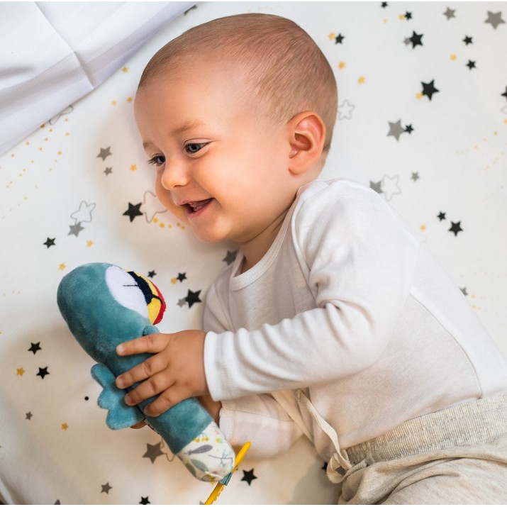 Погремушка BabyOno Tucan Titi (1430)