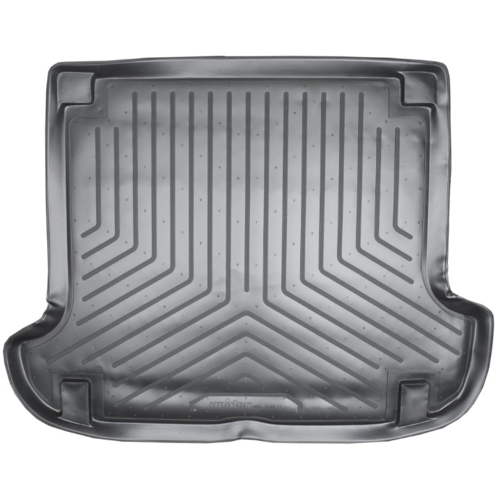 Автоковрики Norplast Unidec Hyundai Terracan HP 2001-2006 (NPL-P-31-51)
