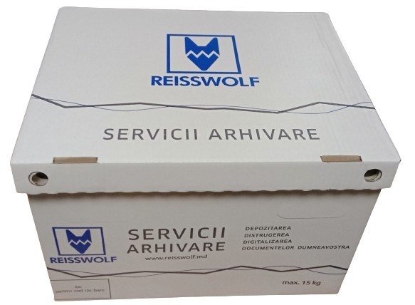 Контейнер архивный Reisswolf RW-110 10pcs