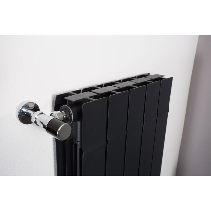 Radiator Radiatori2000 Kalis 2000 Anthracite (4pcs)