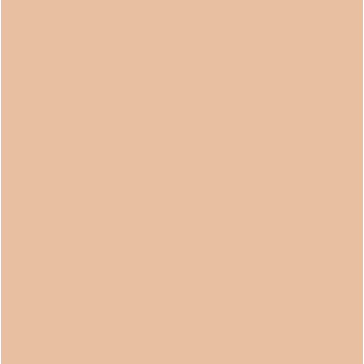 Concealer pentru față Pupa Wonder Cover 002 Light Beige