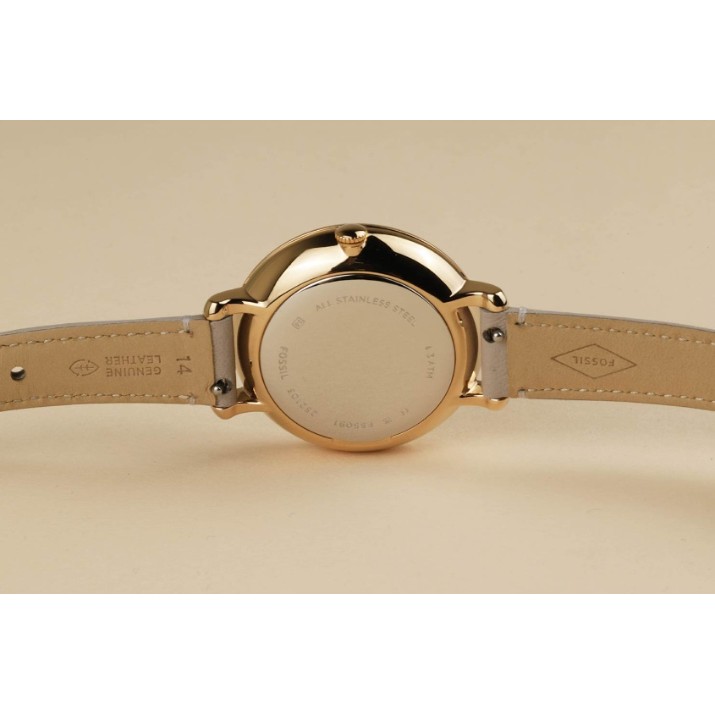 Наручные часы Fossil ES5091