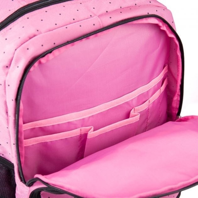 Rucsac școlar GoPack GO21-113M-2