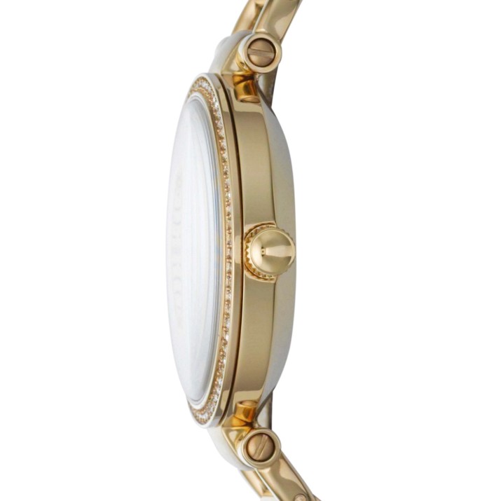 Наручные часы Fossil ES3227