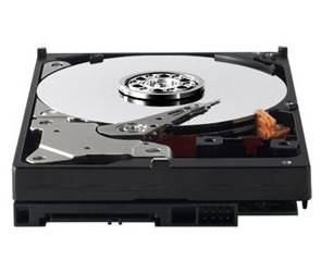 Жесткий диск Western Digital AV-GP 320Gb (WD3200AVVS)