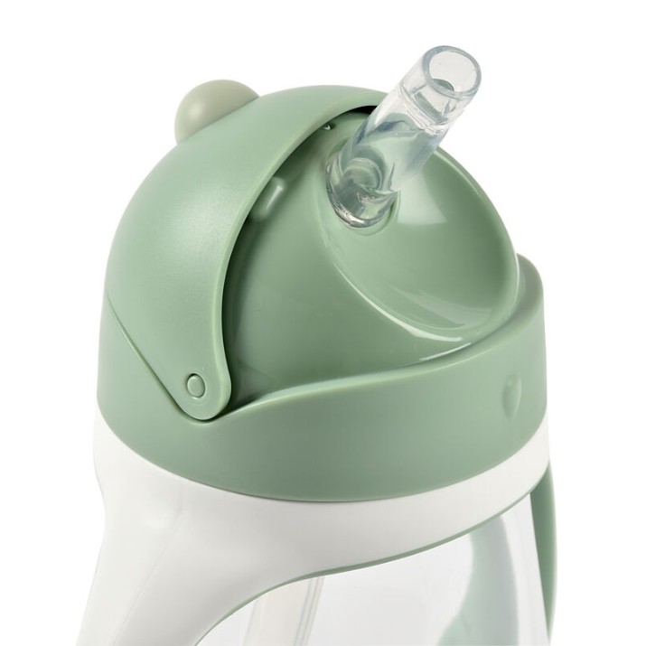 Cana cu pai Beaba Sage Green 300ml (913533)