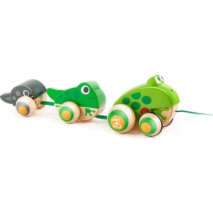 Jucarie de impins si tras Hape Frog Family (E0365)