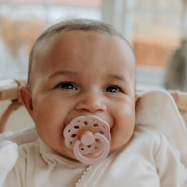 Пустышка BIBS Boheme 2 Pack 0+ months Blush/Woodchuck