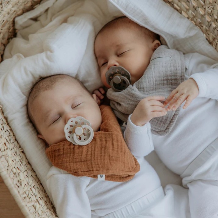 Пустышка BIBS Boheme 2 Pack 6+ months Ivory/Sage