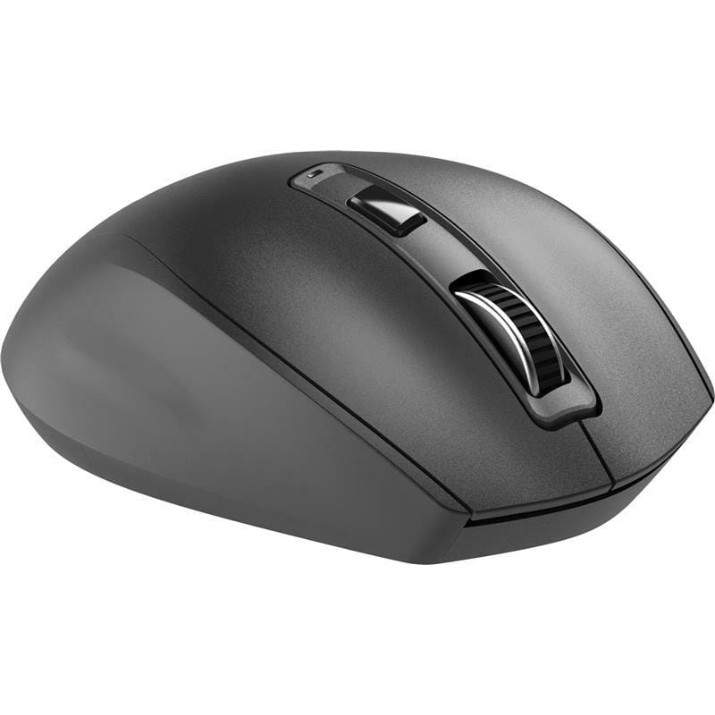 Mouse 2E MF250 Silent Black