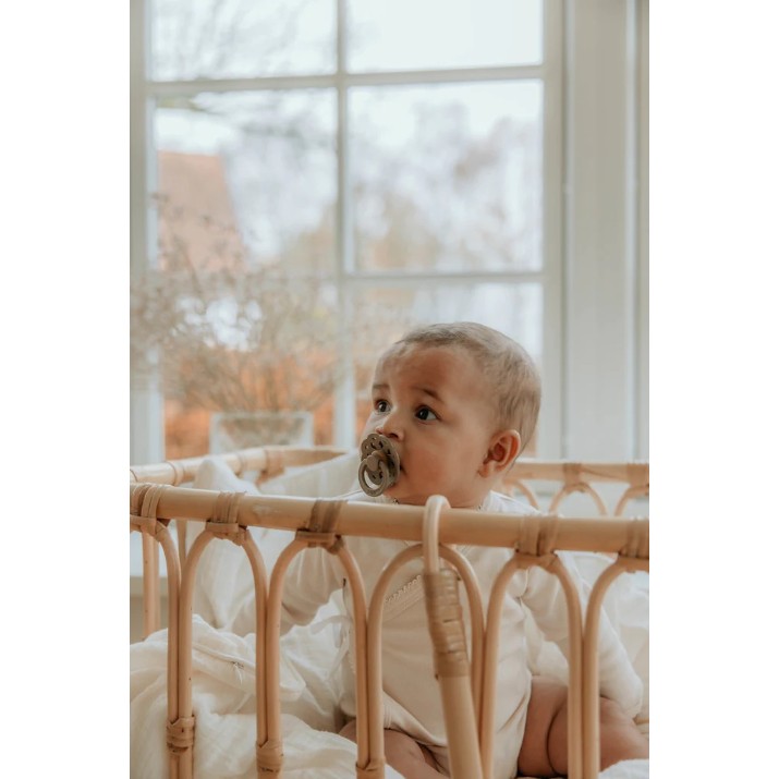 Пустышка BIBS Boheme 6+ months Dark Oak