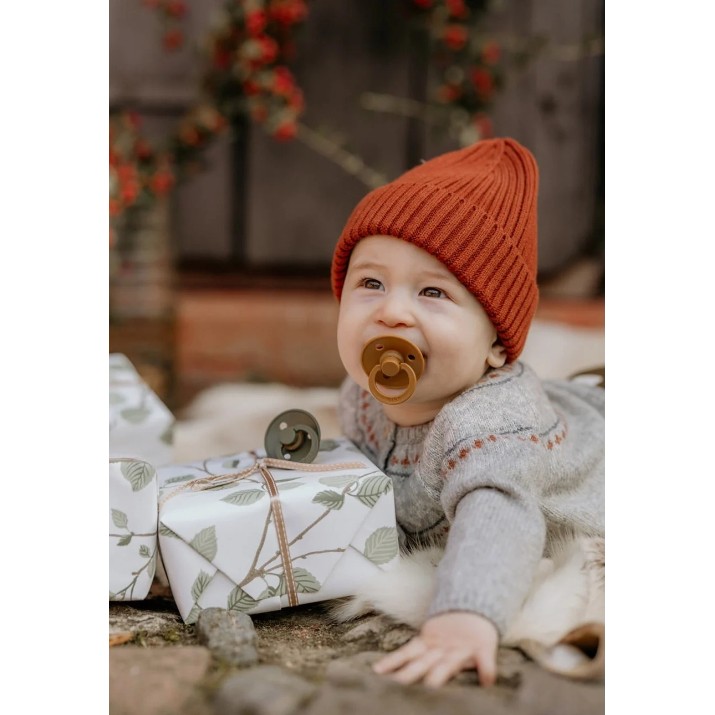 Suzeta BIBS Colour 0+ months Caramel