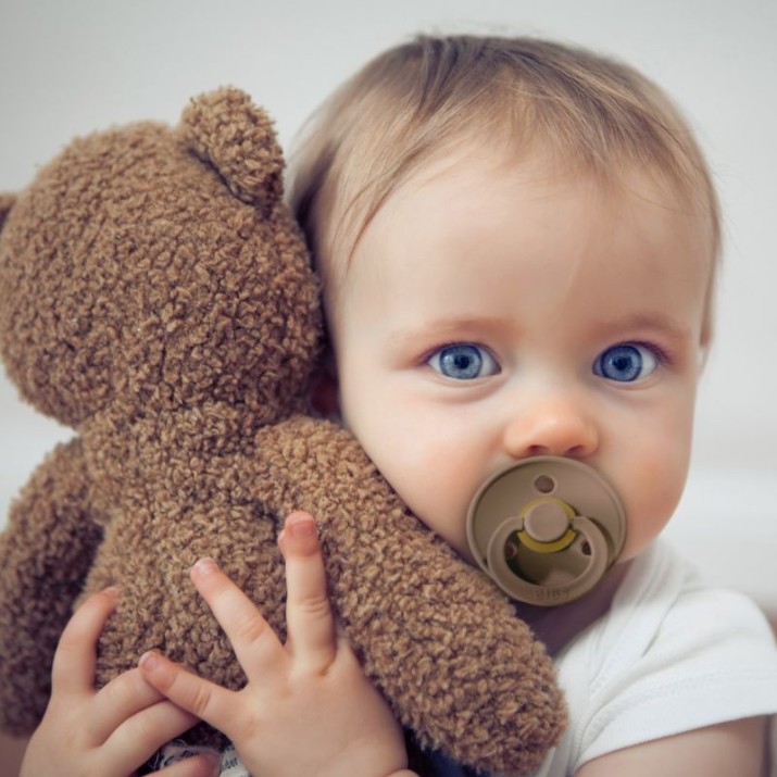 Пустышка BIBS Colour 0+ months Dark Oak