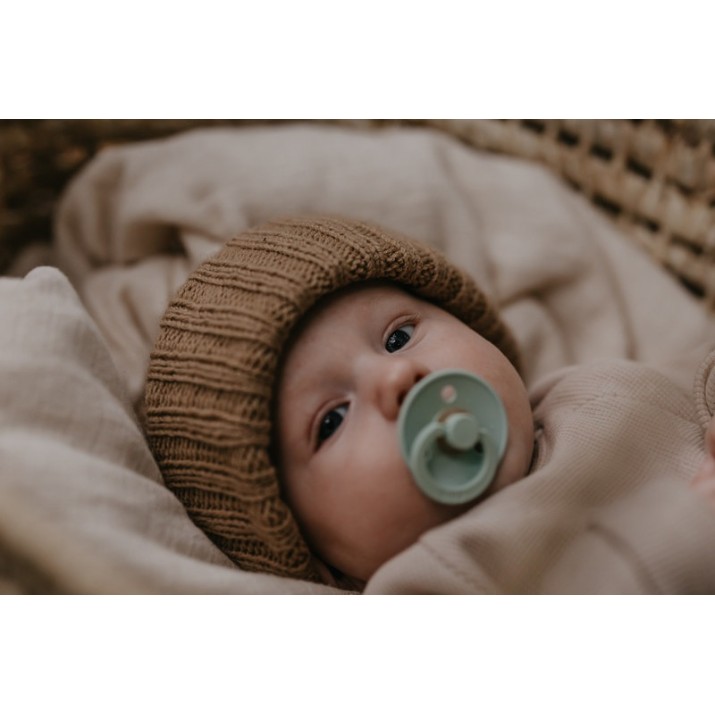 Suzeta BIBS Colour 0+ months Nordic Mint
