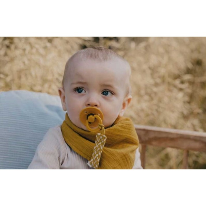 Пустышка BIBS Colour 6+ months Honey Bee