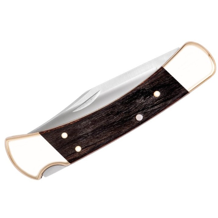 Cuțit Buck 110 Folding Hunter (0110BRS-C)