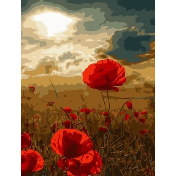 Картина по номерам PRC Maci 40x50cm 03376