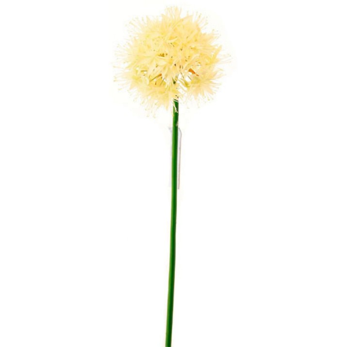 Floare decorativă Casa Masa Allium 80cm White (L19711/WH)