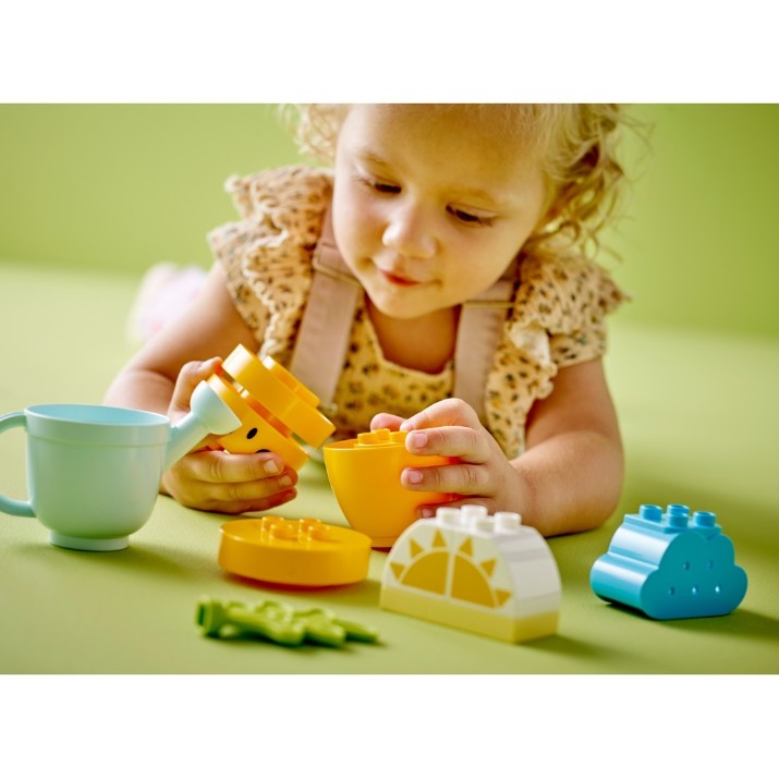 Конструктор Lego Duplo: Growing Carrot (10981)