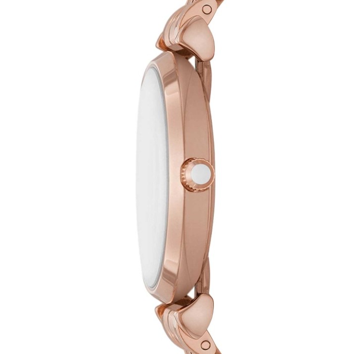Ceas de mână Emporio Armani AR11446