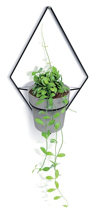 Suport pentru flori Prosperplast Showy Hanger IKSH1M