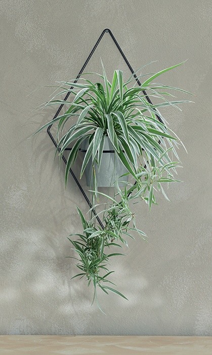 Suport pentru flori Prosperplast Showy Hanger IKSH1M