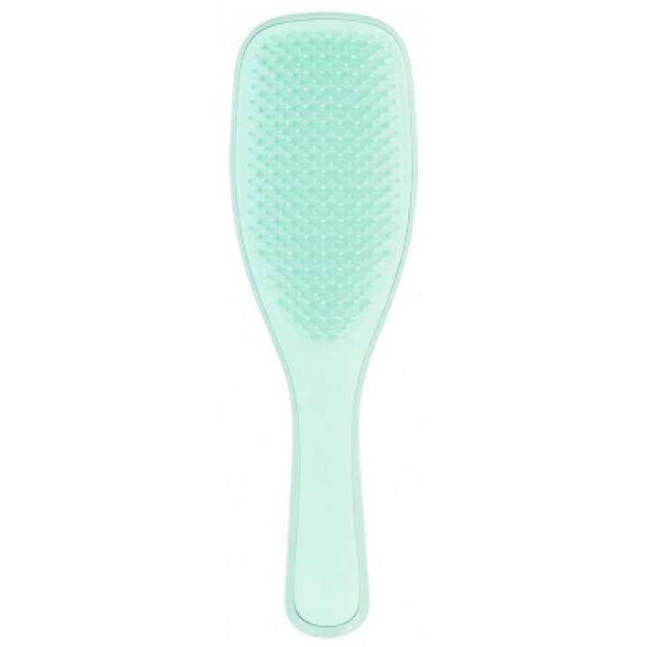 Расческа для волос Tangle Teezer The Wet Detangler Fine & Fragile Jade Lagoon
