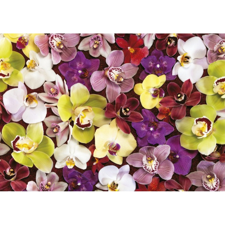 Puzzle Educa 1000 Orchid Collage (19558)