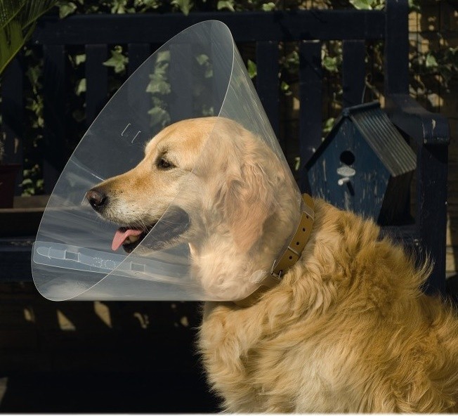 Guler de protecție Beeztees Veterinary Collar (796004)
