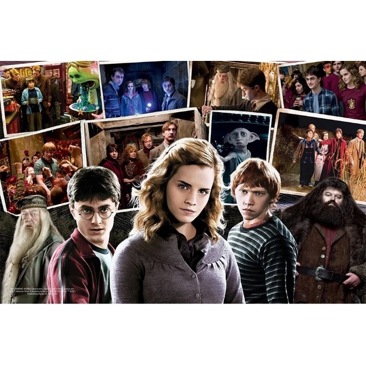 Пазл Trefl 160 Harry Potter and Friends (15418)