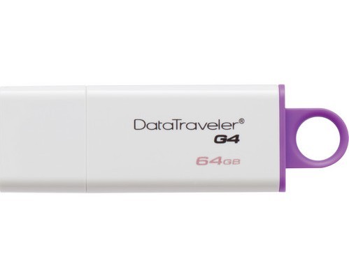 Флеш-накопитель Kingston DataTraveler G4 64Gb (DTIG4/64GB)