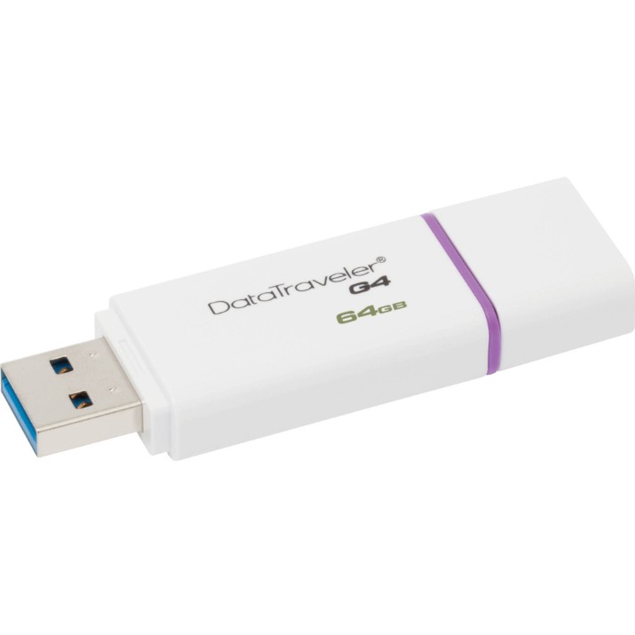 Флеш-накопитель Kingston DataTraveler G4 64Gb (DTIG4/64GB)