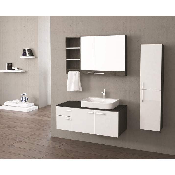 Шкаф с зеркалом Petek Rose 110 white/oak (08240)