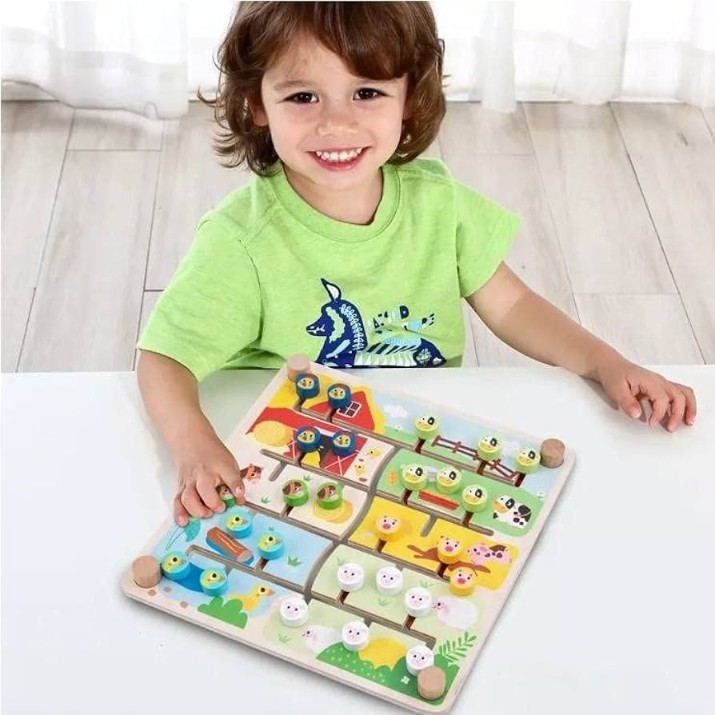 Лабиринт Tooky Toy TH428A