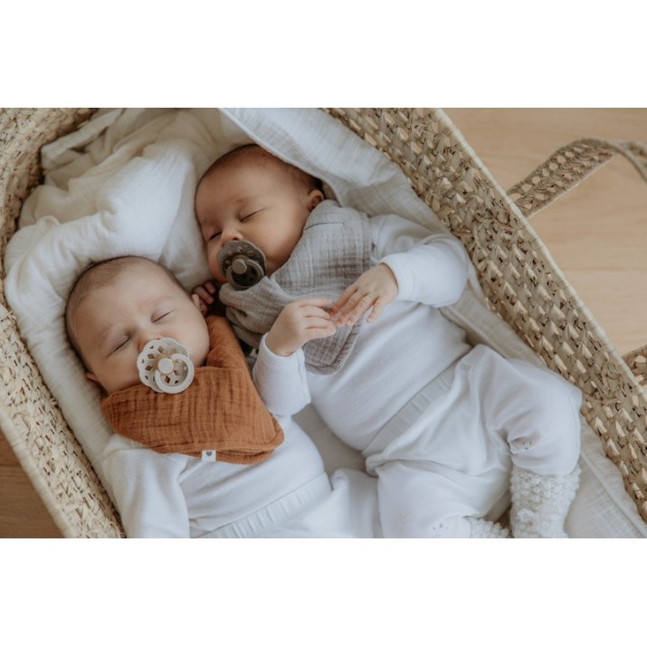 Слюнявчик BIBS Elderberry (9404281)