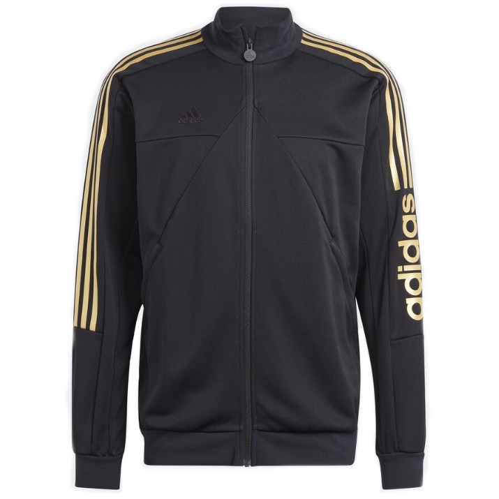 Мужская олимпийка Adidas M Tiro Wm Tt Black, s.L