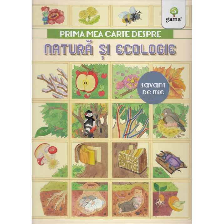 Cartea Prima mea carte despre natura si ecologie (9789731497594)