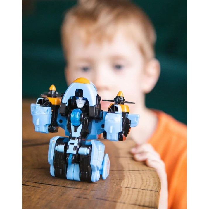 Figura Eroului Tobot 301118