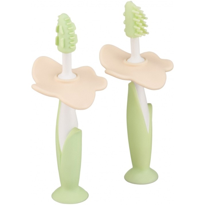 Periuta de dinti pentru copii Roxy Kids 2pcs (RTB-002)