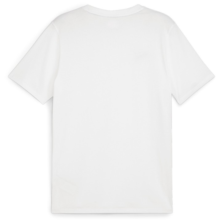 Tricou bărbătesc Puma Teamgoal Casuals Tee Puma White/Black, s.S