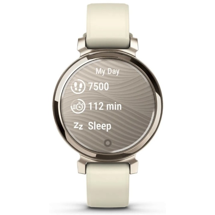 Smartwatch Garmin Lily 2 (010-02839-00)