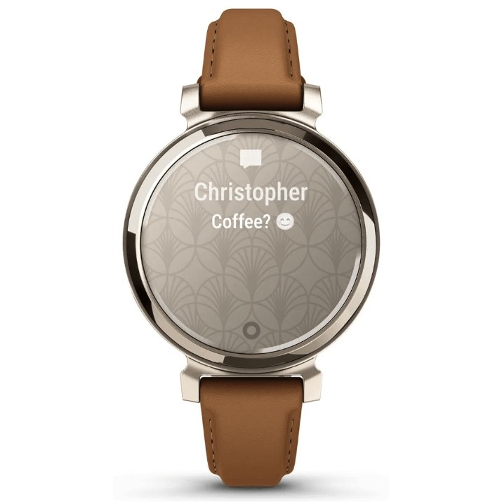 Smartwatch Garmin Lily 2 Classic (010-02839-02)