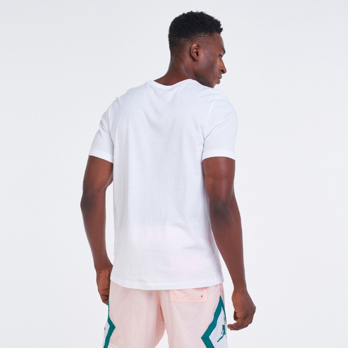 Мужская футболка Nike Jordan Jumpman Flight Hbr Tee White/Black, s.XS
