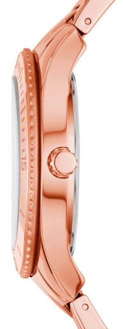 Ceas de mână Fossil ES3815
