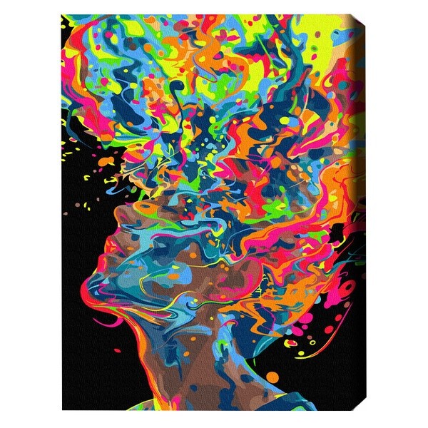 Tablou pe numere Brushme Взрыв творчества (BSB0030FC)